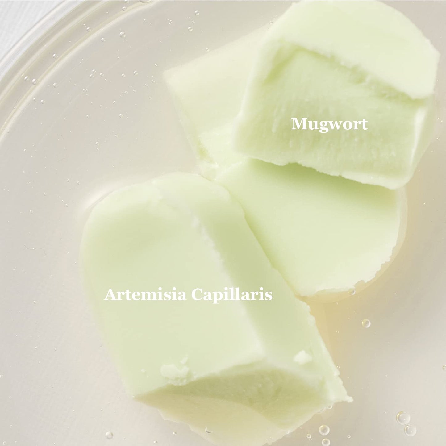 Beauty of Joseon - Matte Sun Stick Mugwort + Camelia 18g (Dual Pack)